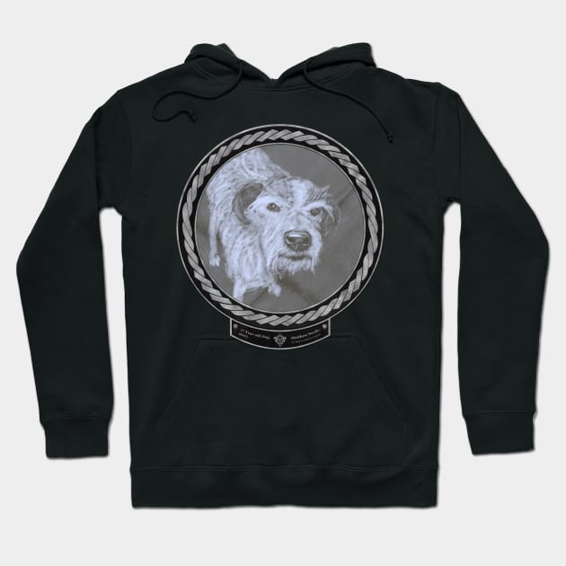 17 Year Old Dog (frame silver celtic rope black) Hoodie by Swabcraft